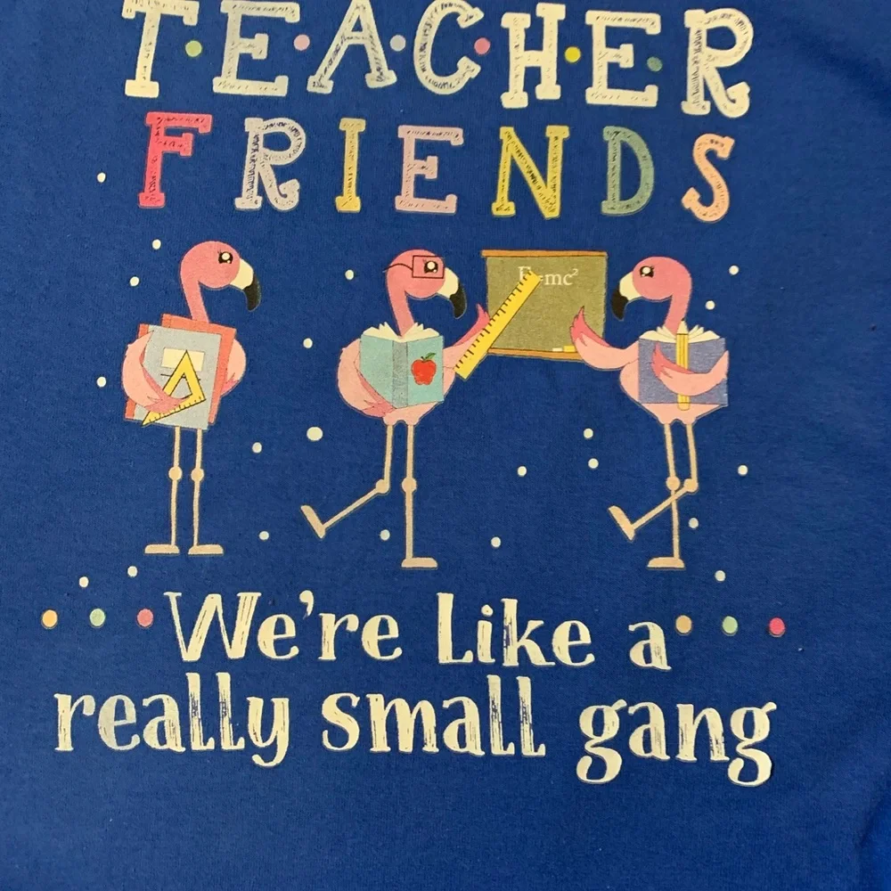 Teacher Friends Flamingo Tee Funny Graphic Shirt Size L - Picture 1 of 5
